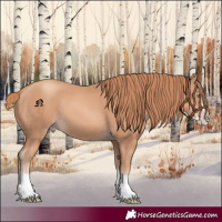 Horse Color:Gold Champagne Splash 