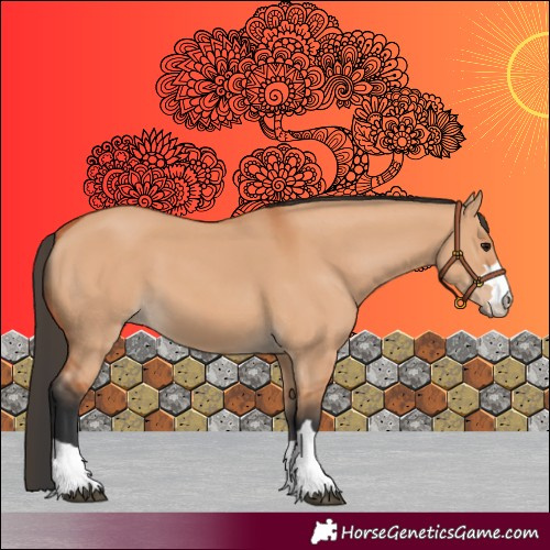 Horse Color:Bay Dun 