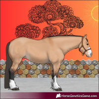 Horse Color:Bay Dun 