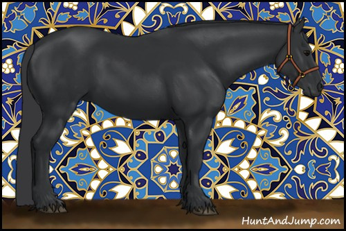 Horse Color:Black 