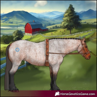 Horse Color:Bay Roan 