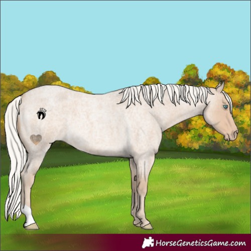 Horse Color:Silver Smoky Creme Roan 