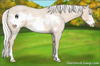 Horse Color:Silver Smoky Creme Roan Frame 
