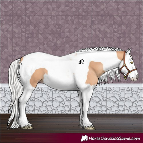 Horse Color:Silver Amber Champagne Splash Tobiano 