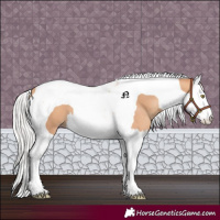 Horse Color:Silver Amber Champagne Splash Tobiano