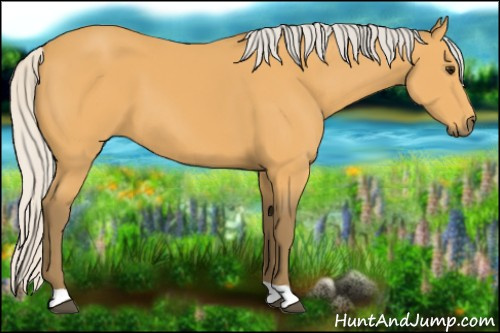 Horse Color:Silver Buckskin 