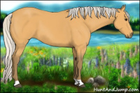Horse Color:Silver Buckskin 