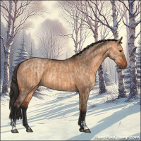 Horse Color:Bay Dun  and Bay Dun 