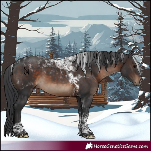 Horse Color:Brown Tobiano 