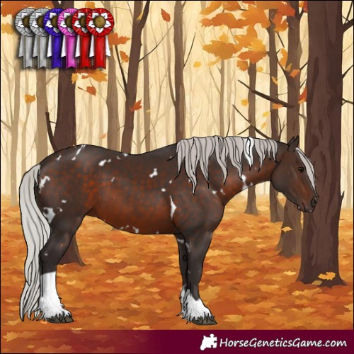 Horse Color:White Spotted Silver Brown Tobiano 