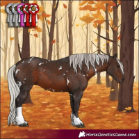 Horse Color:White Spotted Silver Brown Tobiano 