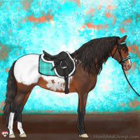 Horse Color:Bay Snowcap 