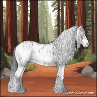 Horse Color:Black Sabino  and Black Sabino 