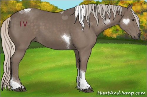 Horse Color:Silver Black Tobiano