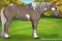 Horse Color:Silver Black Tobiano 