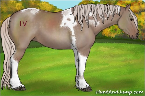 Horse Color:Chocolate Silver Grullo Tobiano 