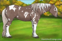 Horse Color:White Spotted Chocolate Silver Black Tobiano 
