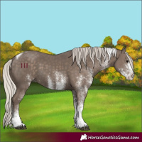Horse Color:White Spotted Silver Black Tobiano 