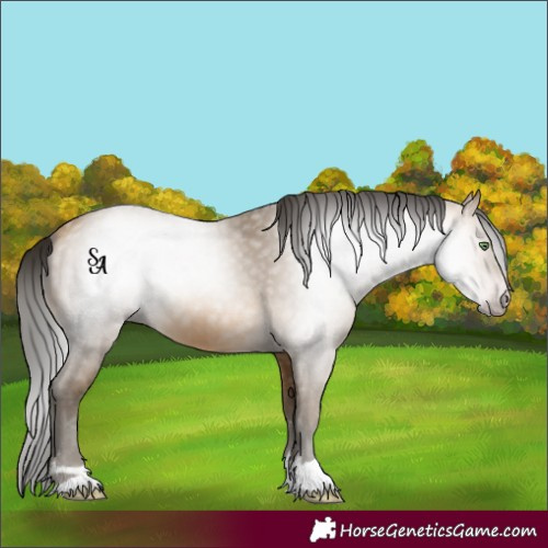 Horse Color:Gray Amber Cream Champagne
