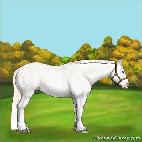 Horse Color:Perlino Dun Sabino  and Perlino Dun Sabino Splash 