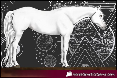 Horse Color:Gray Chestnut 