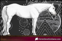 Horse Color:Gray Chestnut