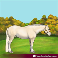 Horse Color:Palomino Pearl 