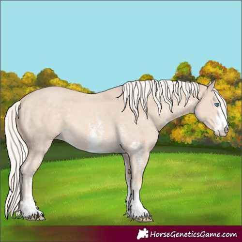 Horse Color:Cremello Sabino