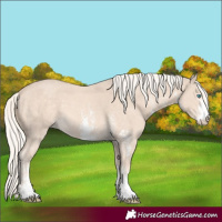 Horse Color:Cremello Sabino 
