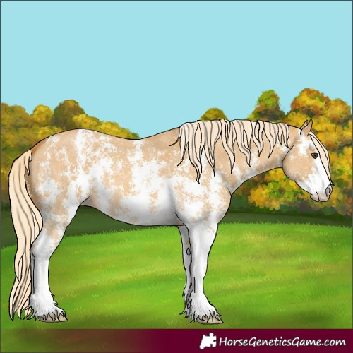 Horse Color:Palomino Dun Sabino