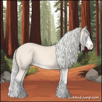 Horse Color:Cremello Sabino  and Cremello Sabino Splash 