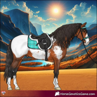 Horse Color:Bay Snowcap 