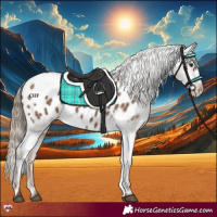 Horse Color:Liver Red Dun Appaloosa 