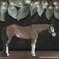 Horse Color:Brown Dun Sabino Rabicano