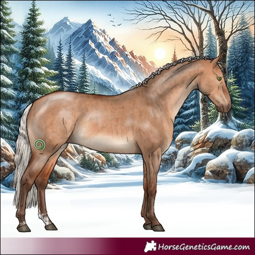Horse Color:Silver Bay Dun Sabino Brindle 