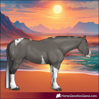 Horse Color:Grullo Splash Tobiano 