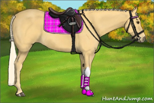 Horse Color:Palomino 