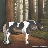 Horse Color:Silver Black Tobiano 