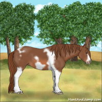 Horse Color:Chestnut Tobiano Frame 
