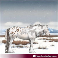 Horse Color:Liver Chestnut Sabino Tobiano Appaloosa Rabicano and Chocolate Palomino Tobiano Appaloosa