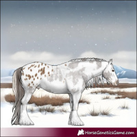 Horse Color:Liver Chestnut Sabino Tobiano Appaloosa Rabicano  and Chocolate Palomino Tobiano Appaloosa 