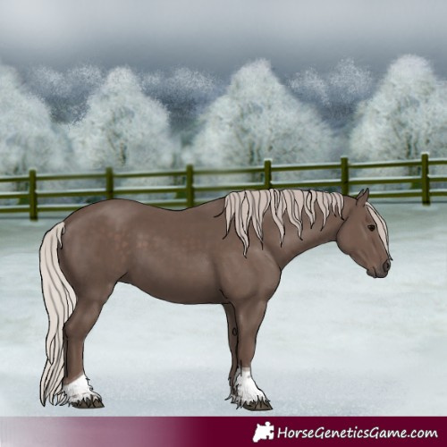 Horse Color:Silver Black Tobiano 