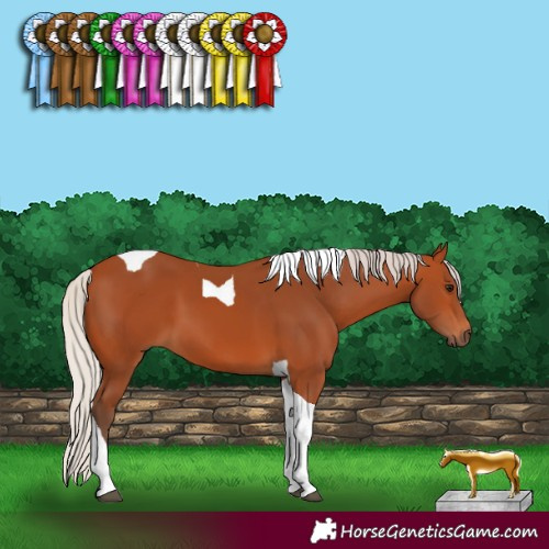 Horse Color:Silver Bay Tobiano 