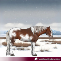 Horse Color:Silver Brown Tobiano Frame Rabicano 