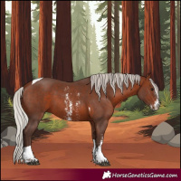 Horse Color:Silver Brown Sabino Tobiano 
