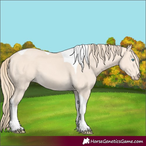 Horse Color:Perlino Tobiano 