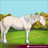 Horse Color:Perlino Tobiano