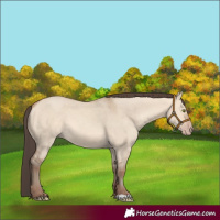 Horse Color:Amber Champagne Dun 