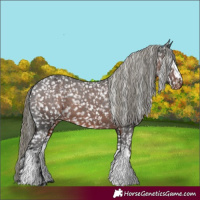 Horse Color:White Spotted Liver Chestnut Mushroom Snowflake Varnish 