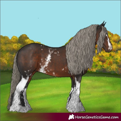 Horse Color:White Spotted Liver Chestnut Mushroom 